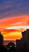 lissi77 Altpins Profile Picture