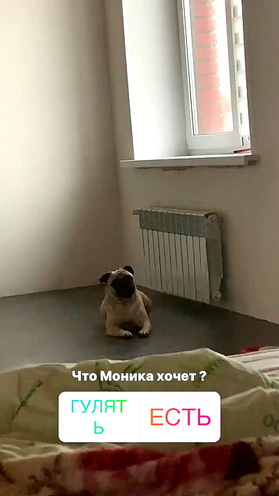 nyityam nyityam archive video