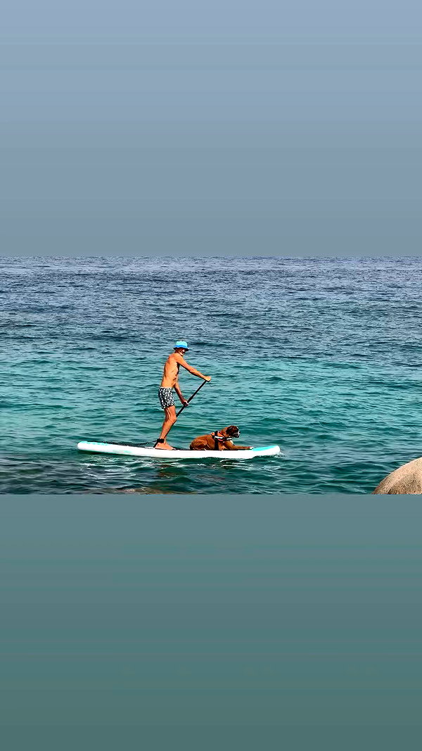 sullivang_ archive video preview
