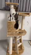 sonia_litvanchuk Altpins Profile Picture