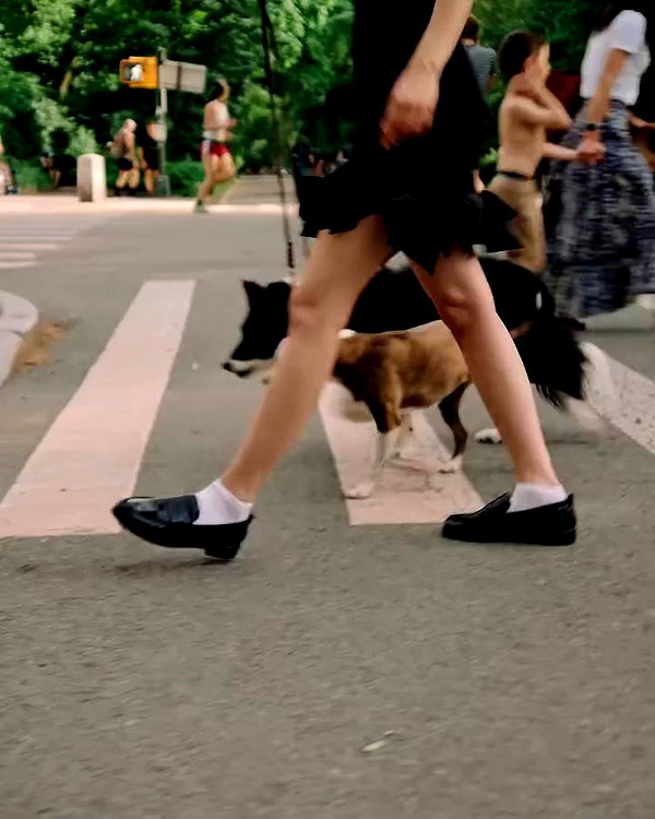 anthropologie archive video preview