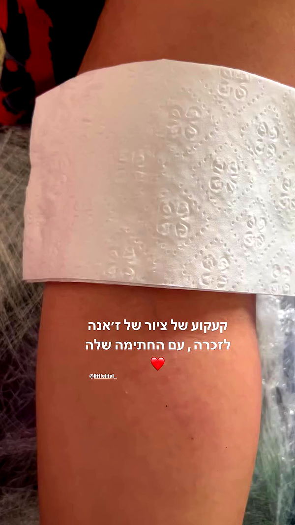 _wizardmidget_ archive video preview