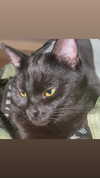miss_baby007 Altpins Profile Picture