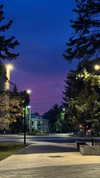 miikheeva_stasiiya Altpins Profile Picture