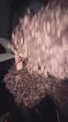 anzhelater Altpins Profile Picture