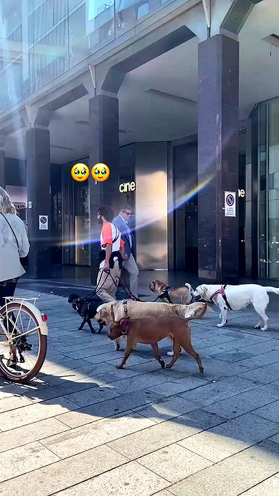 manjolamuriqi manjolamuriqi archive video