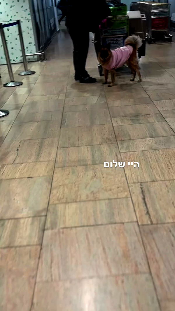 nicole.shpo archive video preview