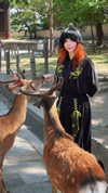 swfx_real Altpins Profile Picture