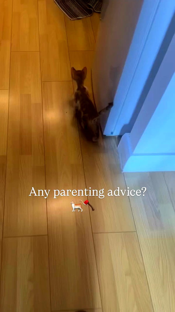 chris_fucking_wild archive video preview