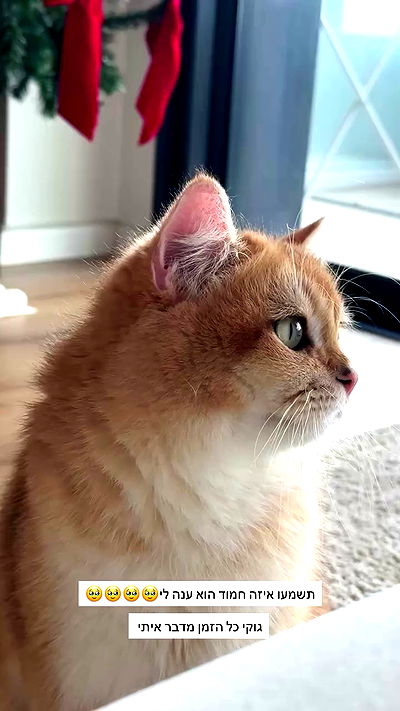 itsilanosh itsilanosh archive video