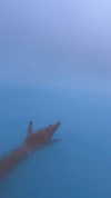 rouxroux.tv Altpins Profile Picture