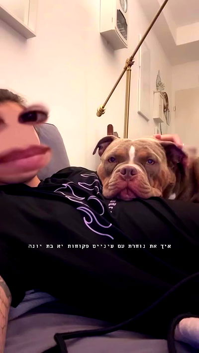 kesemgreenyer kesemgreenyer archive video