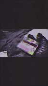 xtina Altpins Profile Picture
