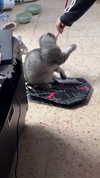 eva.6stuma.com6 Altpins Profile Picture