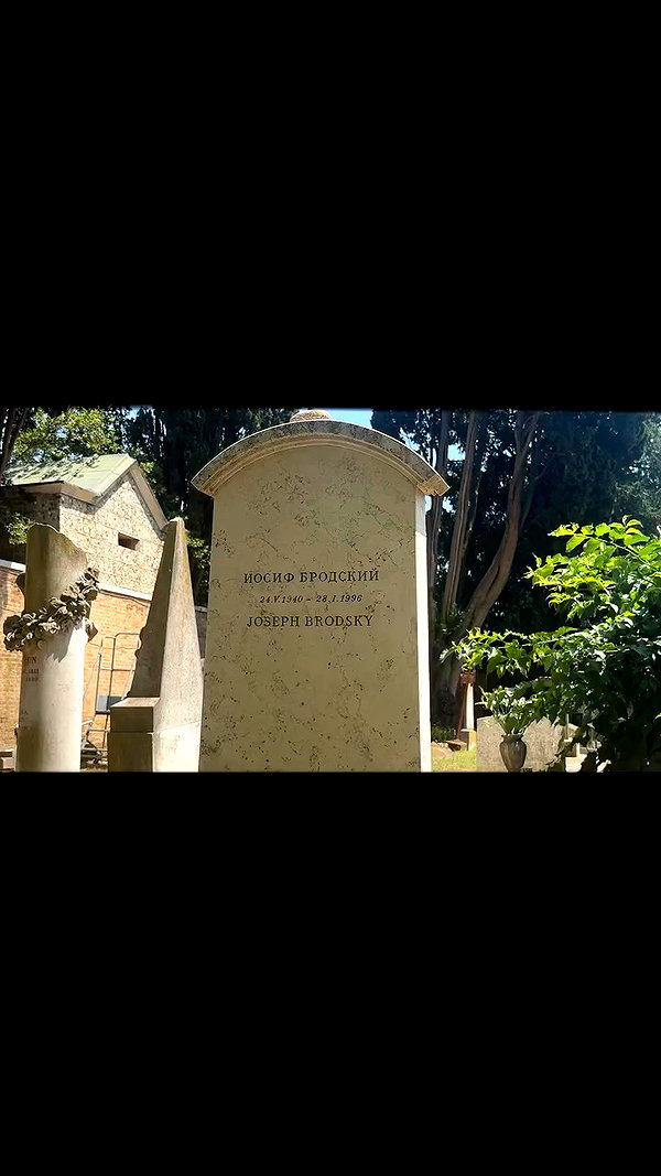 orman.mariee archive video preview