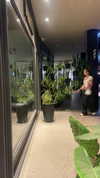 solzarubin_ Altpins Profile Picture
