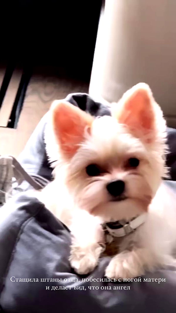 kkwwwv archive video preview