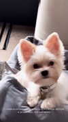 kkwwwv Altpins Profile Picture