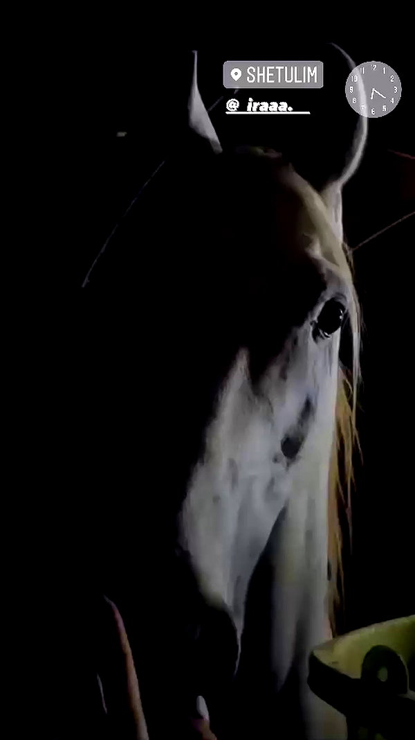 _stella_shani_ archive video preview