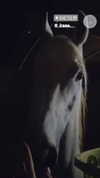 _stella_shani_ Altpins Profile Picture