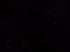shakira Altpins Profile Picture