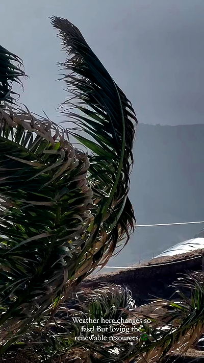 taylor.creeden taylor.creeden archive video