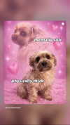 mariacherry_girl Altpins Profile Picture