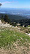 elsgatti Altpins Profile Picture