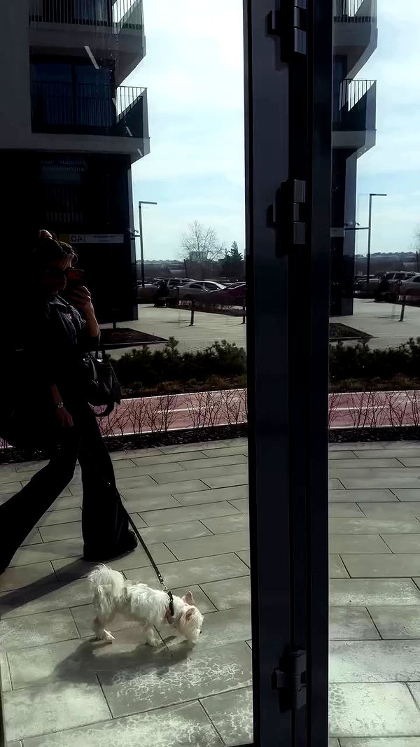 kkwwwv archive video preview