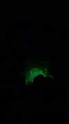 d3ad.doll Altpins Profile Picture
