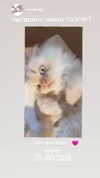 nicakitty Altpins Profile Picture