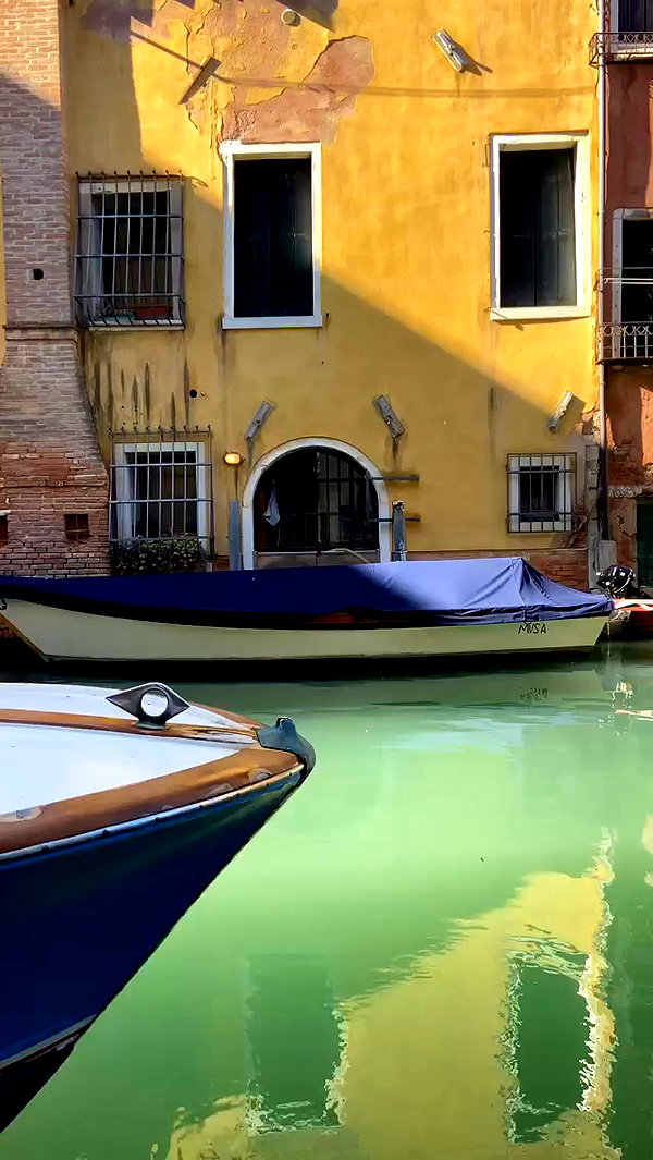 biancanataliie archive video preview