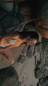 shpaakova Altpins Profile Picture
