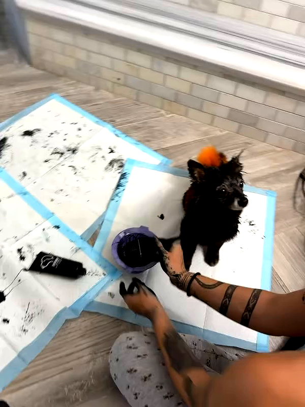 daniellebarnaa archive video preview