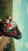 bensalma4 Altpins Profile Picture