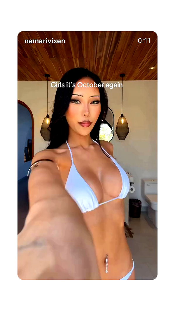 namarivixen archive video preview