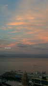 michelleloven_ Altpins Profile Picture