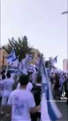 nikolpeleg Altpins Profile Picture