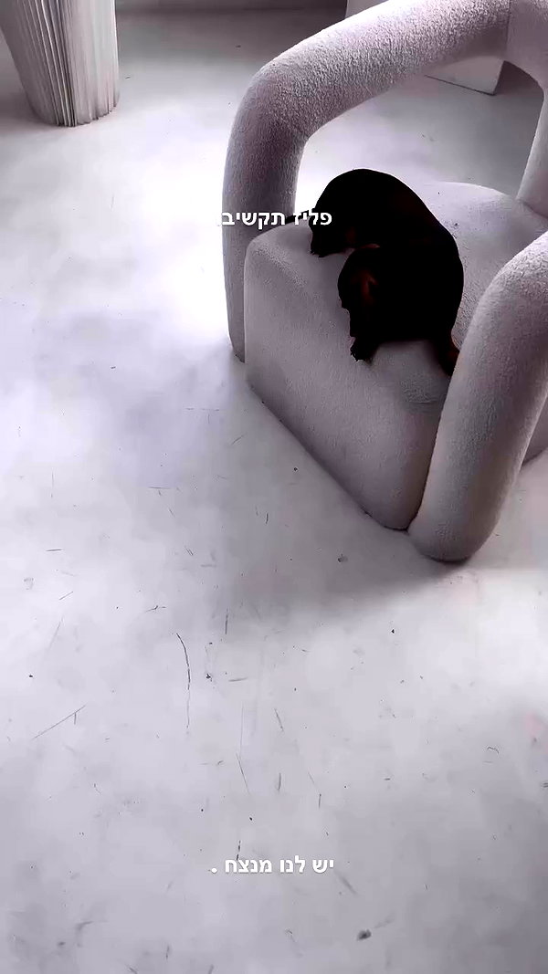 maya.keyy archive video preview