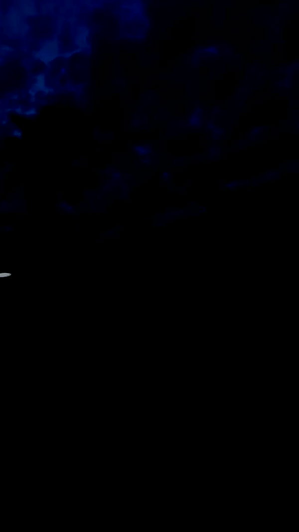 stav_menashe_ archive video preview