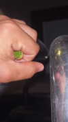_broock_ Altpins Profile Picture