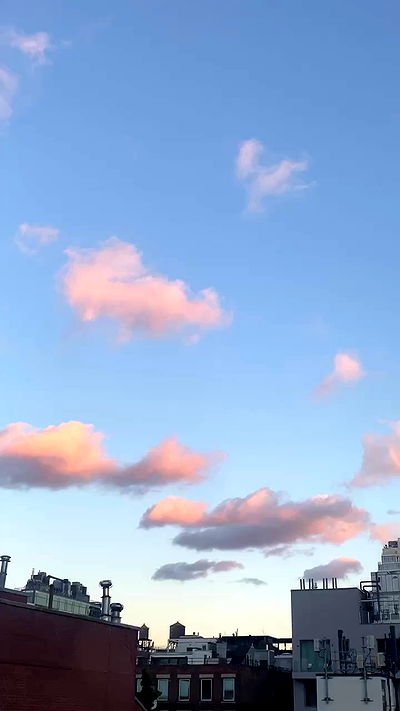 taylor.creeden taylor.creeden archive video