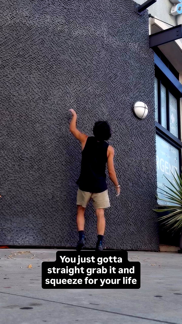 swholeanimal archive video preview