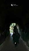 bat.wiings Altpins Profile Picture