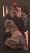 romxcohen Altpins Profile Picture