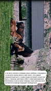 orman.mariee Altpins Profile Picture