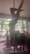 arachni.ba3 Altpins Profile Picture