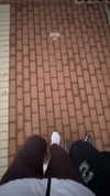 mishel_d_ Altpins Profile Picture