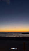 sonia_litvanchuk Altpins Profile Picture