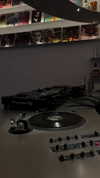 noa.danino_ Altpins Profile Picture